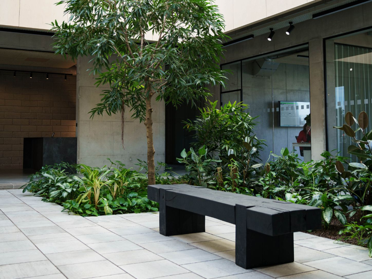 Untitled design (19).jpg